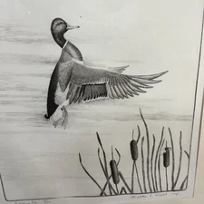 Walter Bohl Signed Etching 15 of 100 DUCK Limited Edition Framed Mat Getting Up