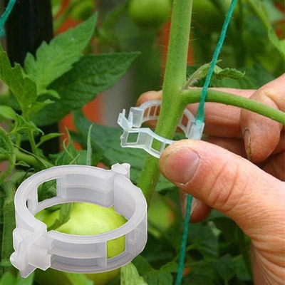 #ad #ad 300Pcs Plant Support Clips Tomato Veggie Garden For Trellis Twine Greenhouse $10.99