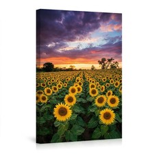 Sunflower Field at Sunset Poster Wall Art Sunflower Decor