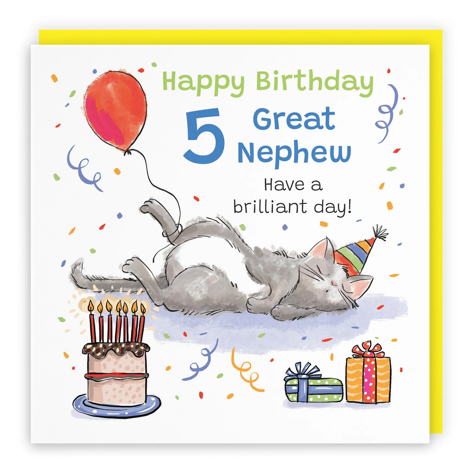 5th Great Nephew Birthday Card Sleepy Cat Animal Party