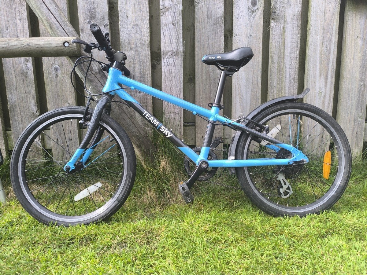 Bicycle Frog 52 Electric Blue Frog 52 Multi-Speed 20-Inch Kids