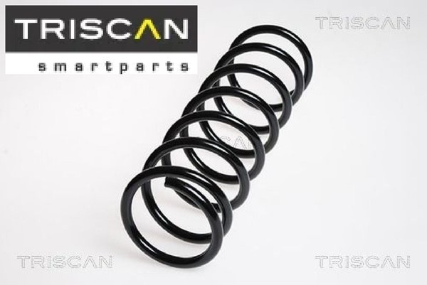 Triscan 87505076 Fahrwerksfeder FüR Mazda-image