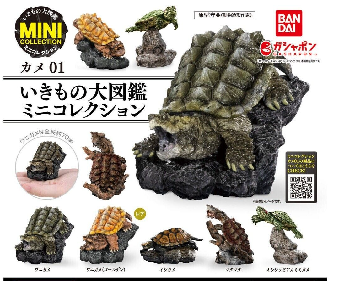 The Diversity of Life on Earth Mini Collection Turtle 01 Figure
