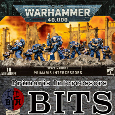 Bits De Conversion Space Wolves Pour Grey Hunters - Compatible Intercessors Primaris, Pièces Détachées Warhammer 40K