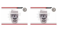 Esen SKV 2X Radnabe Radlagersatz Hinten FüR Hyundai Santa Fé III KIA Sorento II