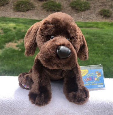 chocolate lab webkinz
