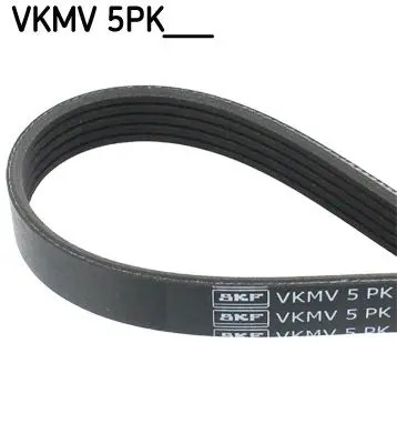 SKF VKMV 5PK1801 Cinghia Poly-V - Immagine 2