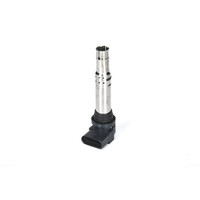 1 Bosch ZüNdspule FüR Audi A2 A3 Seat Ibiza Skoda Fabia VW Golf IV Bor