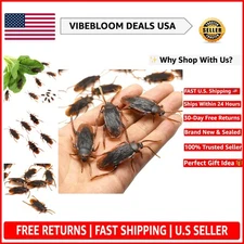 Realistic Rubber Cockroach Toys (10PCS) - Perfect for Gags & Party Decor