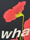 Bild 7 von 21