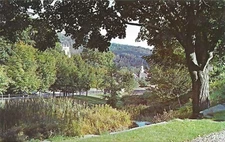 Vintage Vermont Chrome Postcard Weston Cold Spring Park