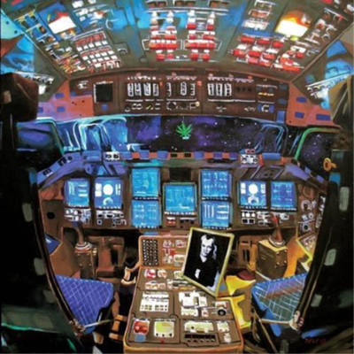 Damaged Bug Hubba Bubba (Vinyl) 12'' Album (UK IMPORT)