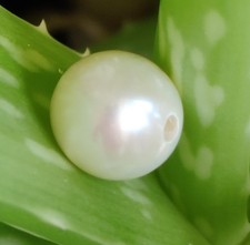 2mm Large Hole Big White Near Round Freshwater Pearls for Jewellery Making 10mm