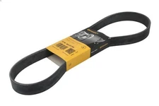 V-ribbed belt Contitech 8 PK 954 EXTRA for BMW i8 (I12) 1.5 2014-2018