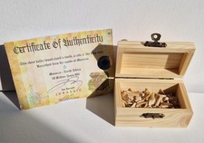 UPC 033383000046 product image for Fossil Shark Teeth Treasure Chest - Fantastic Gift for Kids | upcitemdb.com