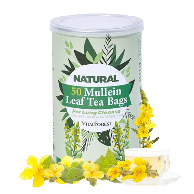 50 Mullein Tea Bags for Lung Cleanse & Respiratory Support