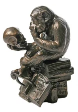 Monkey Holding Skull Statue Rheinhold philosophizing monkey on books Sculpture