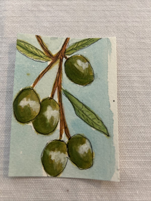 Olive Branch. ACEO, Original Watercolor Painting, Small Art Card