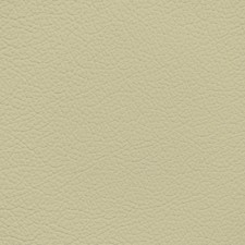 Audi Atlas Beige Leather Dye