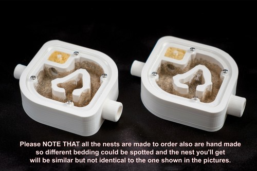 Ant Farm Nest Formicarium Ants House Complete Setup A7 Small Best Ants UK - Picture 8 of 10