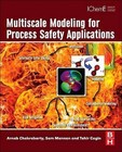 Multiscale Modeling for Process Safety Applications by Arnab Chakrabarty, Sam Mannan, Tahir Cagin (Hardback, 2013)