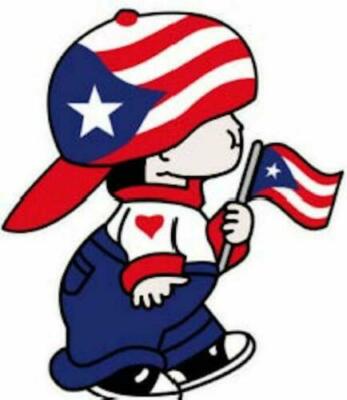 PUERTO RICO FLAG, PR STICKER DECAL- CHICO BORICUA #54