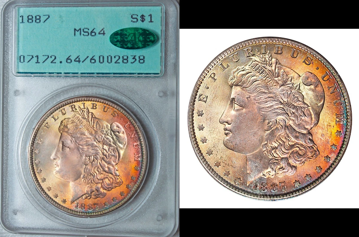 MS 64 Graded 1887 Year Morgan US Dollars (1878-1921) for sale | eBay