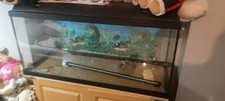 250L Aquarium with Cabinet (Read Description Before Buying )