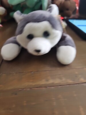 Nanook Retired 1996 Ty Beanie Babie 8in Husky Dog 3up Boys Girls 4104