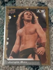 N17 2022 Upper Deck AEW Gold Parallel Jungle Boy