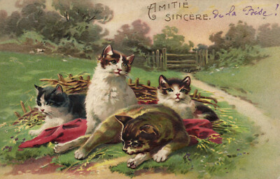 PC CATS, AMITIÉ SINCÉRE, Vintage EMBOSSED Postcard (b47043)