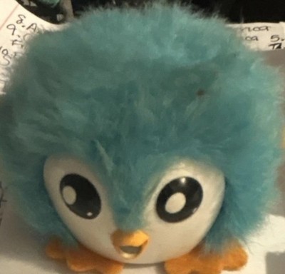 Boss s Nova Robotics Bluebird Bebe
