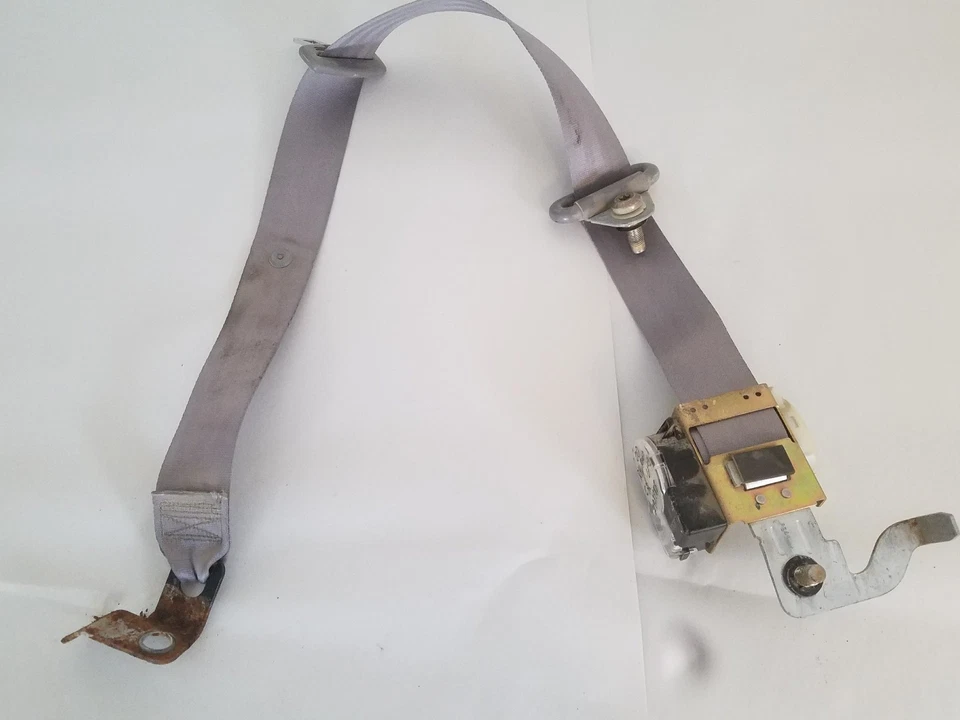 Ford Mustang 1997-04 cupé cinturón de seguridad trasero paso derecho gris 98 99 2000 01 02 03 OEM Foto 2 de 2