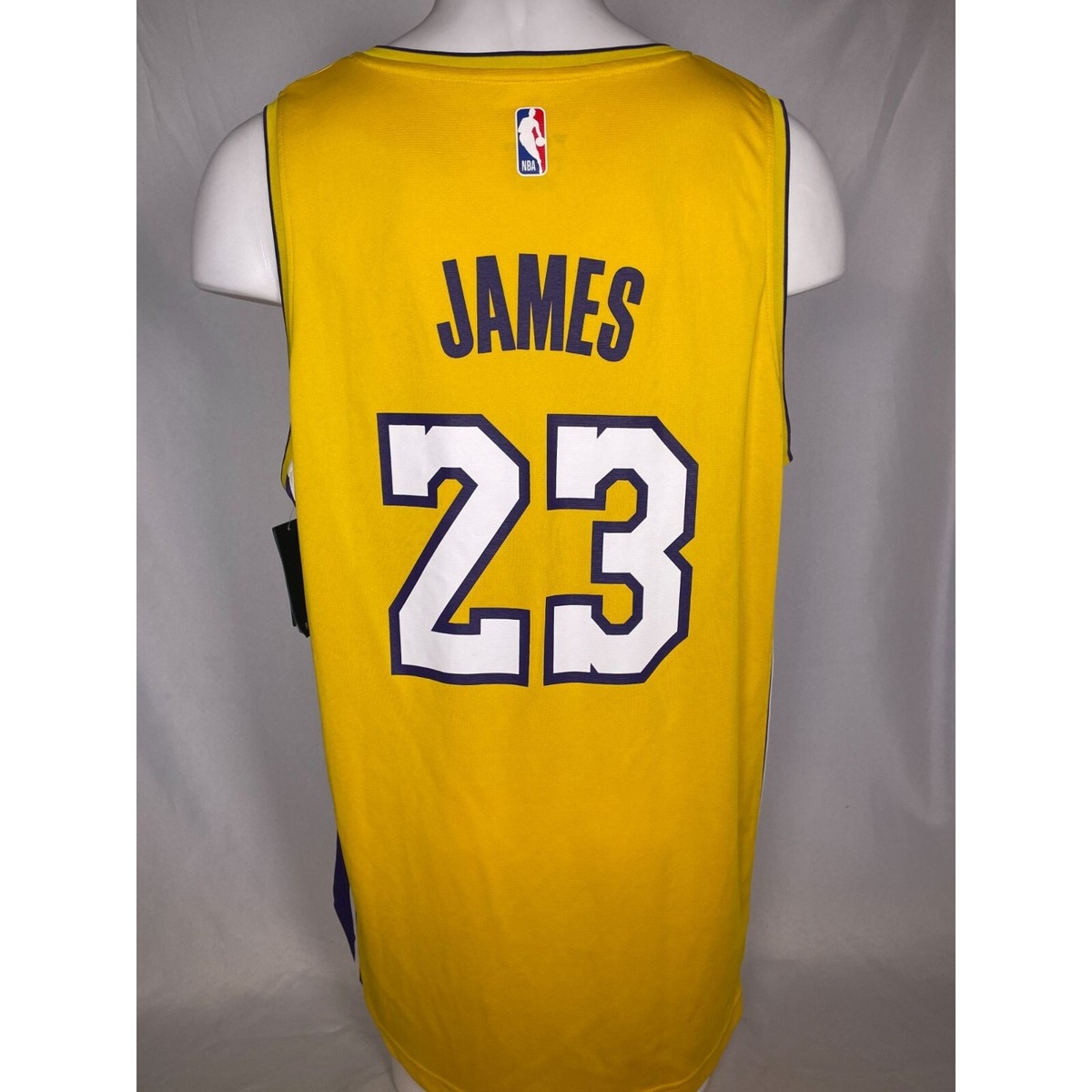 LeBron James #23 Los Angeles Lakers Fanatics Fast Break Gold