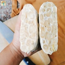 3.5 oz Organic Soy-Free Tempeh Starter Culture Rhizopus Oligosporus