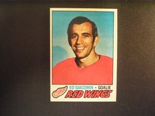 1977-78 Topps Hockey Ed Giacomin Card # 70