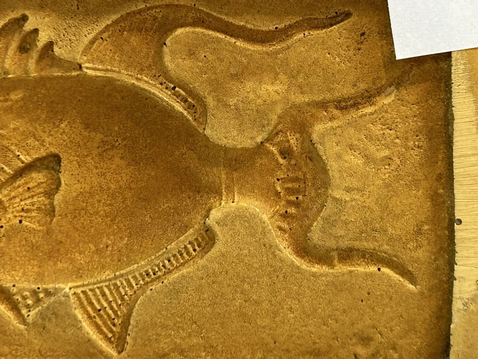 Бумага для литья тропических рыб для бумажной массы, воздушной сухой глины, глины #52 - Изображение 4 из 4