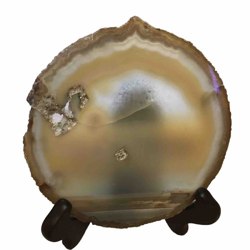 Natural Petrified Wood Polished Rock Slab Slice Agate Bark Crystal Beige 6”x6” - Picture 2 of 9