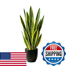 Joyplants Fake Snake Plant 35 Artificial Potted Plant Black Pot Realistic Faux