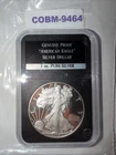 Slabbed Ungraded Proof 2014 Silver Eagle - One Ounce of Pure Silver COBM-9464