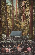 Monte Rio, CA: Concert Bohemian Grove Russian River California Mitchell Postcard