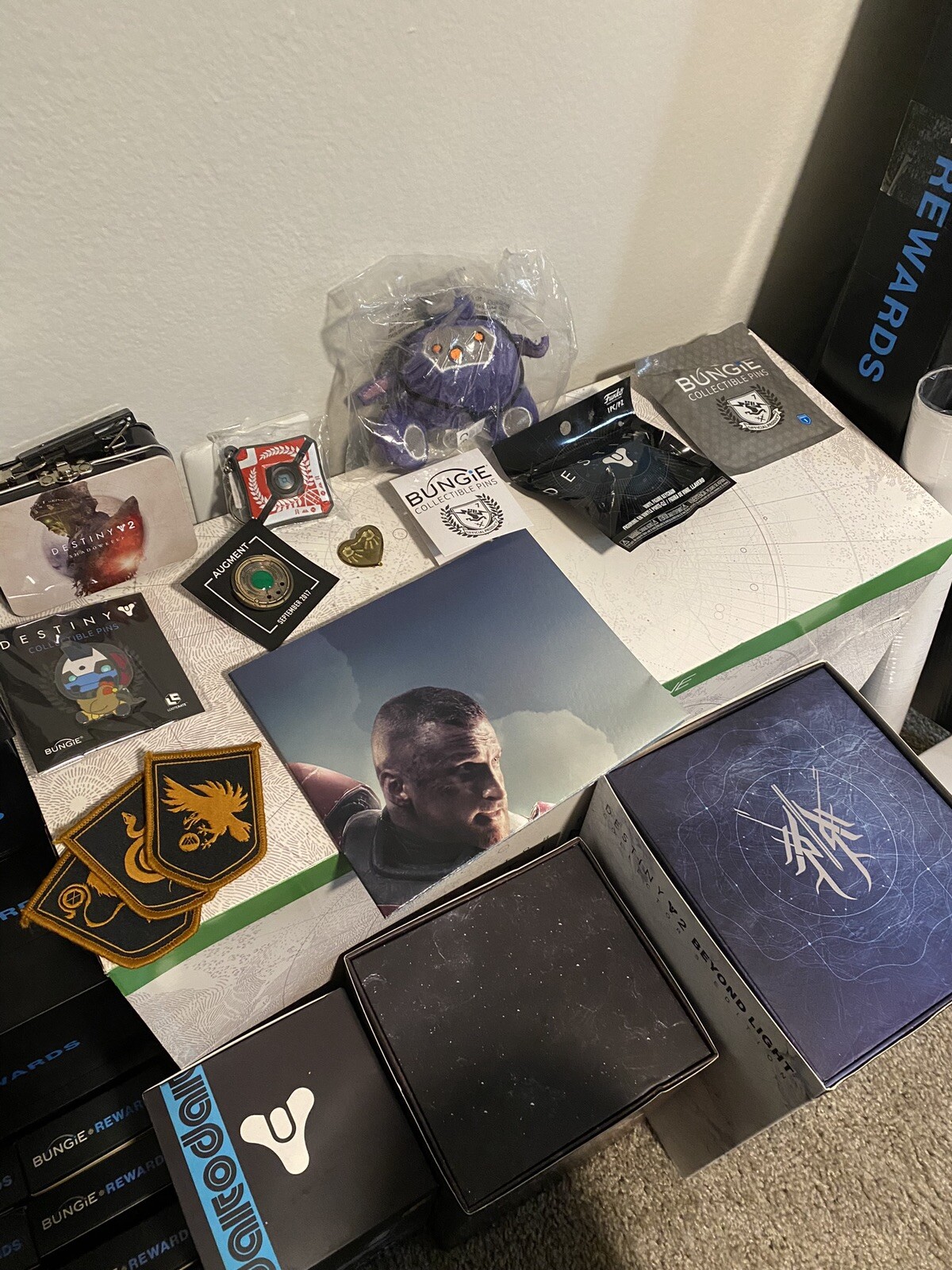 Regency Destiny Collection Huge Collection of Destiny 1 & 2 Limited Edition Bungie Rewards and ...