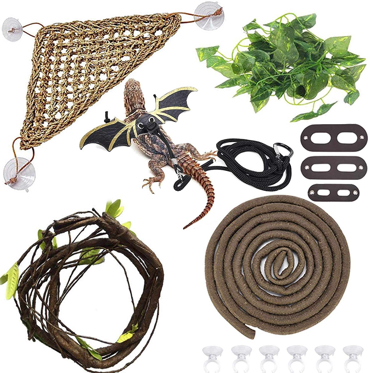 lizard accessories