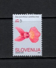 S2560  Slovenia   2005   flora  flowers  orchids  1v.  MNH