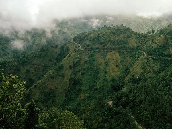 未磨砂绿色咖啡 100% 柯纳夏威夷咖啡豆 - 5 点 — 第 3/4 张图片