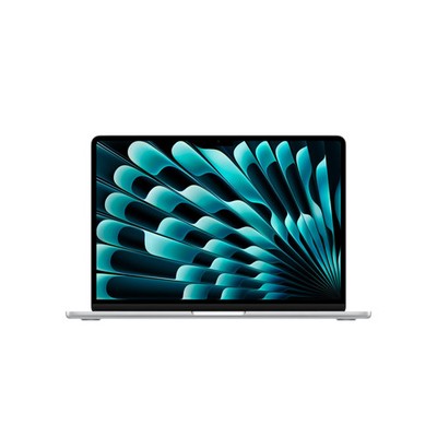 Apple MacBook Air 13,6'' 2025 M4/16/256GB SSD 8C GPU Silber MW0W3D/A