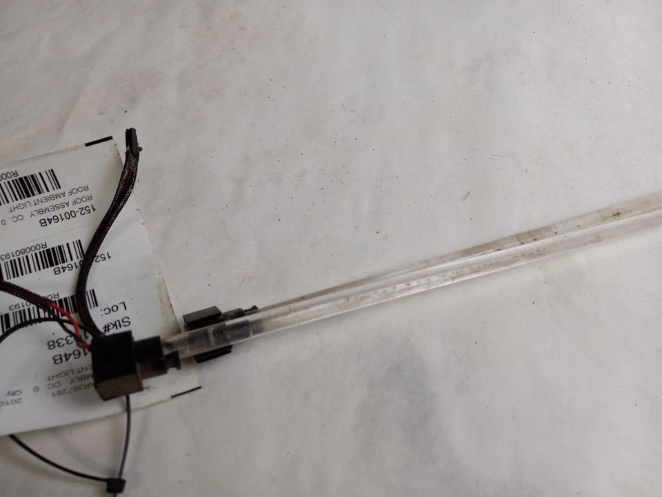 Luz ambiental de techo para Dodge Grand Caravan 2008-2019 OEM Foto 2 de 4