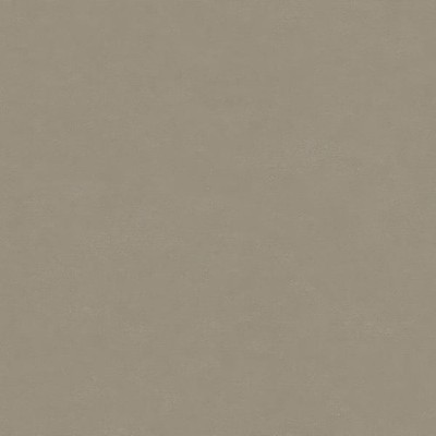 30120 - Purity Uni Grau Grün Galerie Tapete