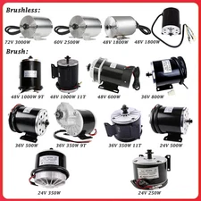 24V-72V 250W 350W 500W 600W 800W 1000W 1800W 2500W 3000W Brushless Brush Motor