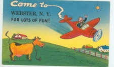 WEBSTER,NEW YORK-COME TO WEBSTER-HAVE LOTS OF FUN!-LINEN--(NY-WMISC)
